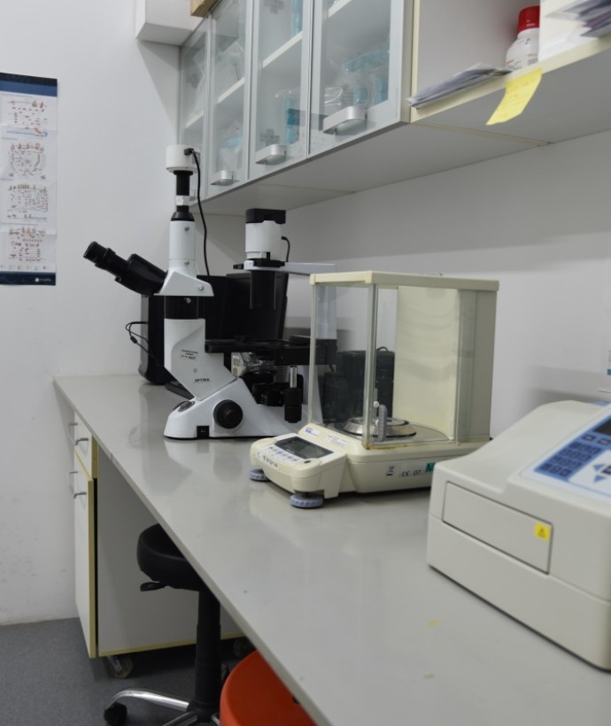 Cell Culture Lab